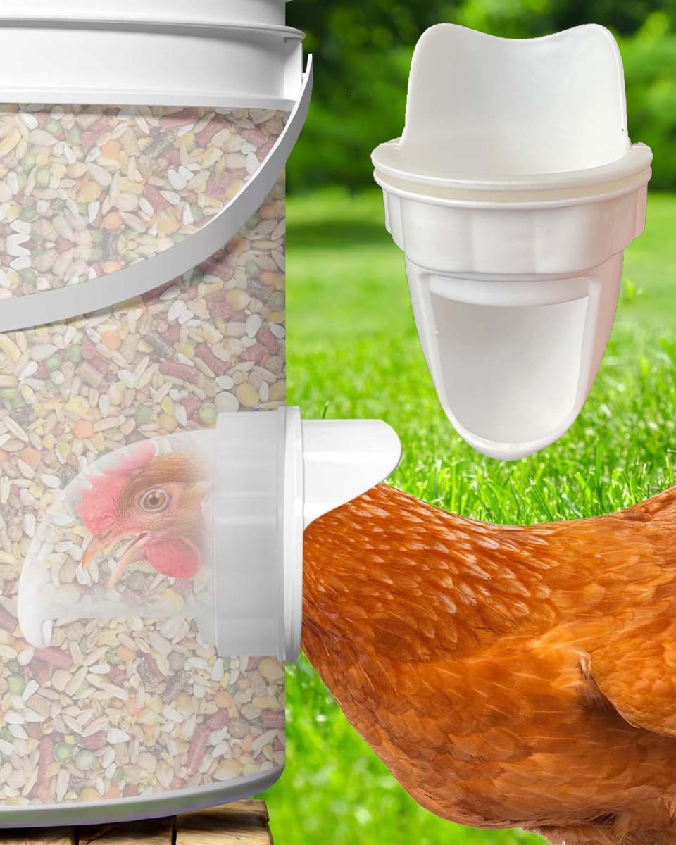 🐓🦆【Piercer + 5 podajalnikov】 Avtomatski krmilnik za perutnino je odporen na dež in glodalce