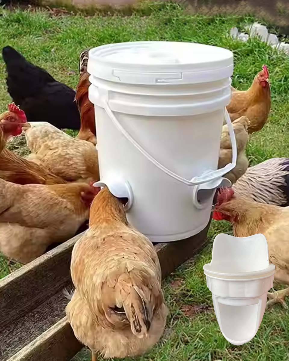 🐓🦆【Piercer + 5 podajalnikov】 Avtomatski krmilnik za perutnino je odporen na dež in glodalce