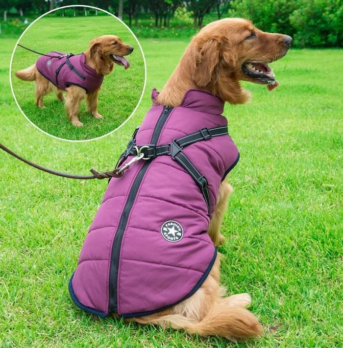 【50% de descuento】Ropa de esquí de otoño e invierno para mascotas, chaqueta de algodón impermeable y cálida para perros