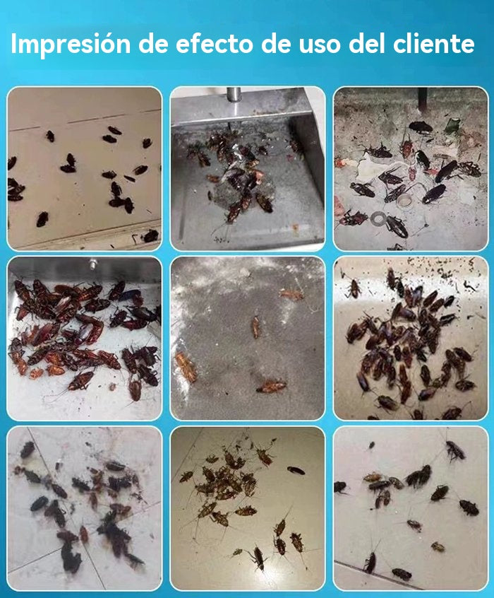 🔥【50 % popust】Močna gel vaba za uničevanje ščurkov