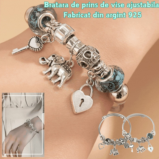 【Kupite 1, dobite 1 gratis】💖✨Nastavljiva zapestnica iz lovilca sanj iz srebra 925