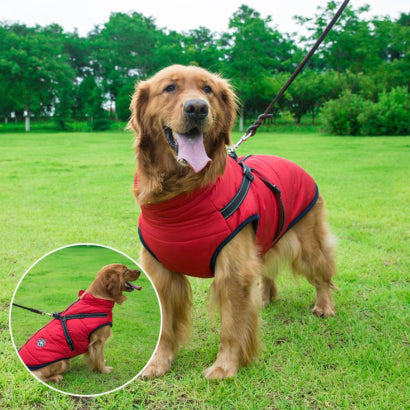 【50% de descuento】Ropa de esquí de otoño e invierno para mascotas, chaqueta de algodón impermeable y cálida para perros