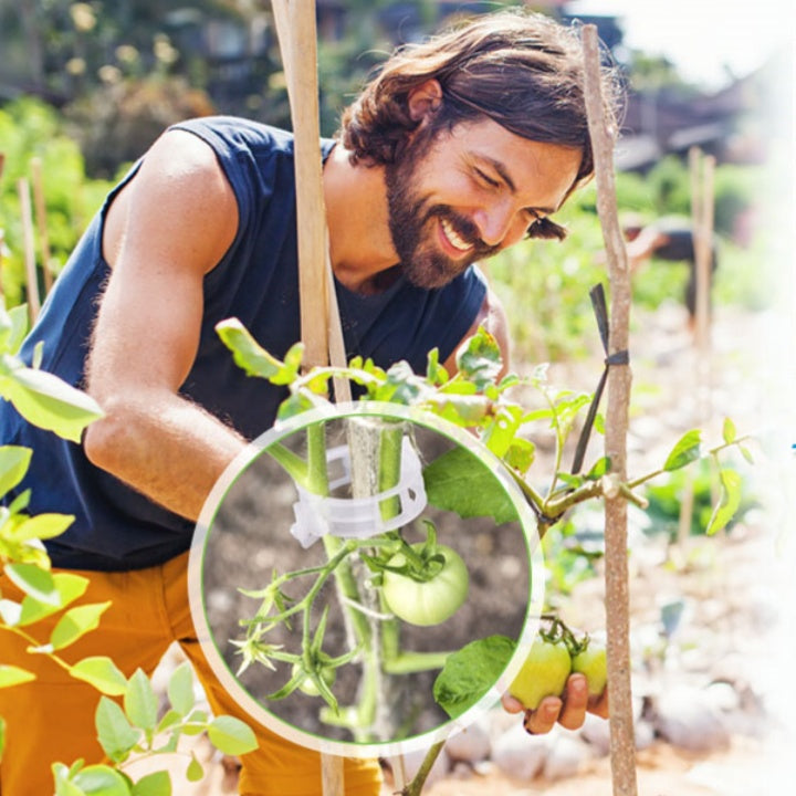 🍅🍅【 200 kusů】🌱Upevňovací klip pro pěstování sazenic, plastové svorky na rostliny, ideální pro vázání a zavěšování rostlin_
