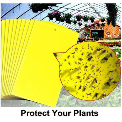 🐞【Paquete de 30 piezas 】Tablero adhesivo de insectos de doble cara amarillo✅️Pago contra entrega