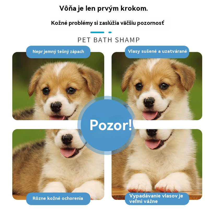 🐱🐈 Nežna dezodorirajoča pena na rastlinski osnovi za hišne ljubljenčke, šamponi za hišne ljubljenčke. Vključena orodja