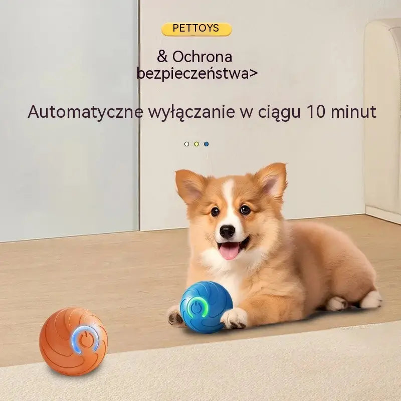 🐶【Kup jeden, a drugi dostaniesz gratis】Inteligentna, interaktywna, odbijająca się piłka dla zwierząt