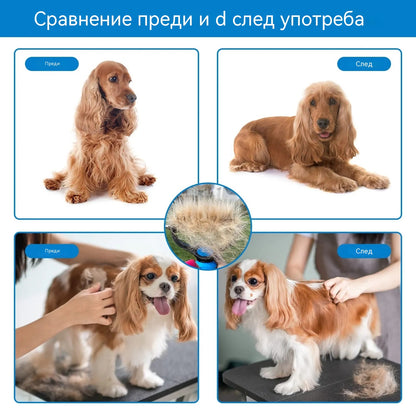 🐾Купете едно, вземете второ безплатно! 🐾 Професионален инструмент за премахване на мъртва козина от кучета и котки: нежен, ефективен и без косми у дома ✨💖
