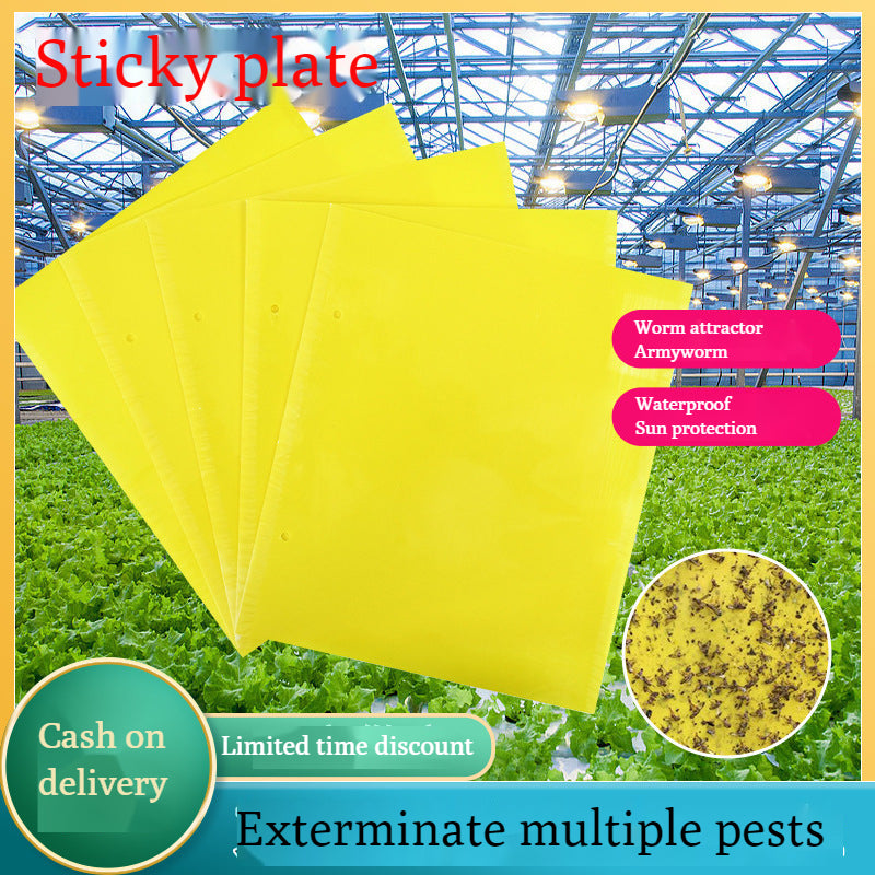 🐞【Paquete de 30 piezas 】Tablero adhesivo de insectos de doble cara amarillo✅️Pago contra entrega