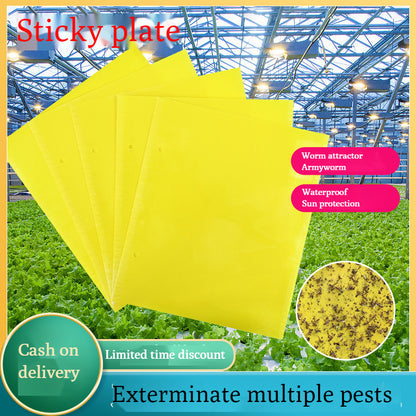 🐞【Paquete de 30 piezas 】Tablero adhesivo de insectos de doble cara amarillo✅️Pago contra entrega