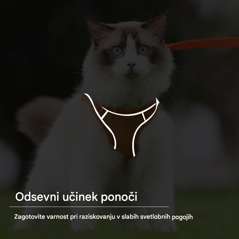 😺🐶【Kúpte 1, získajte 1 zadarmo】Povodec za pse, komplet za sprehajanje psov, plišasti oprsnik za hišne ljubljenčke, mačji oprsnik s povodcem, ki se sveti v temi🐾
