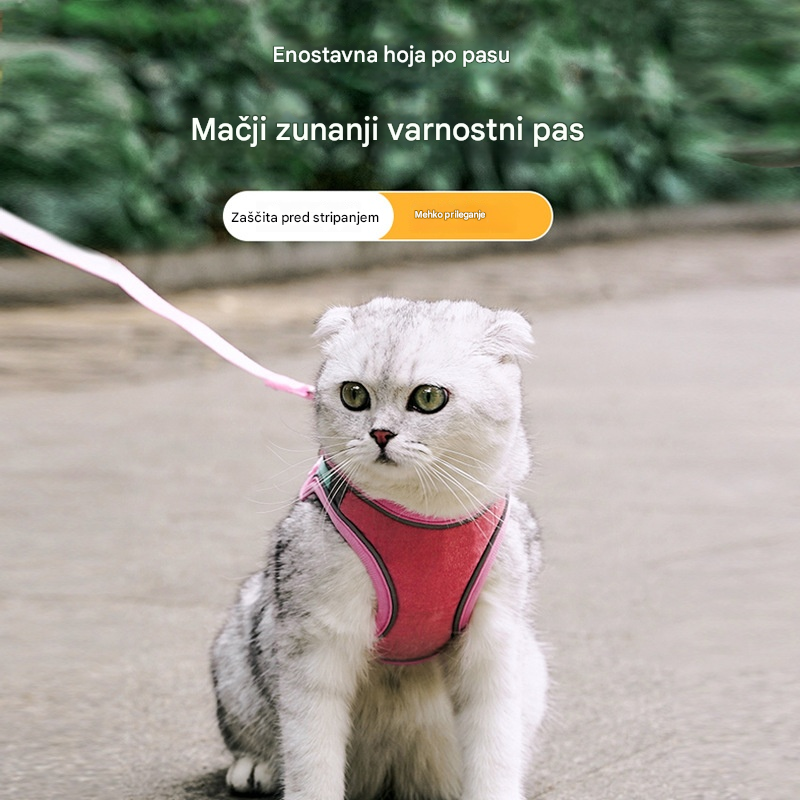😺🐶【Kúpte 1, získajte 1 zadarmo】Povodec za pse, komplet za sprehajanje psov, plišasti oprsnik za hišne ljubljenčke, mačji oprsnik s povodcem, ki se sveti v temi🐾