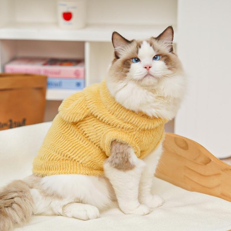 【Kupite 1, dobite 1 gratis】【0,5–10 kg】🧸 Topla jakna za pse in mačke – mehka in ljubka z ljubkimi ušesi