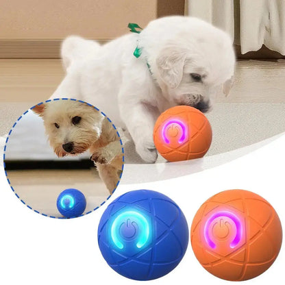 🐶【Kup jeden, a drugi dostaniesz gratis】Inteligentna, interaktywna, odbijająca się piłka dla zwierząt