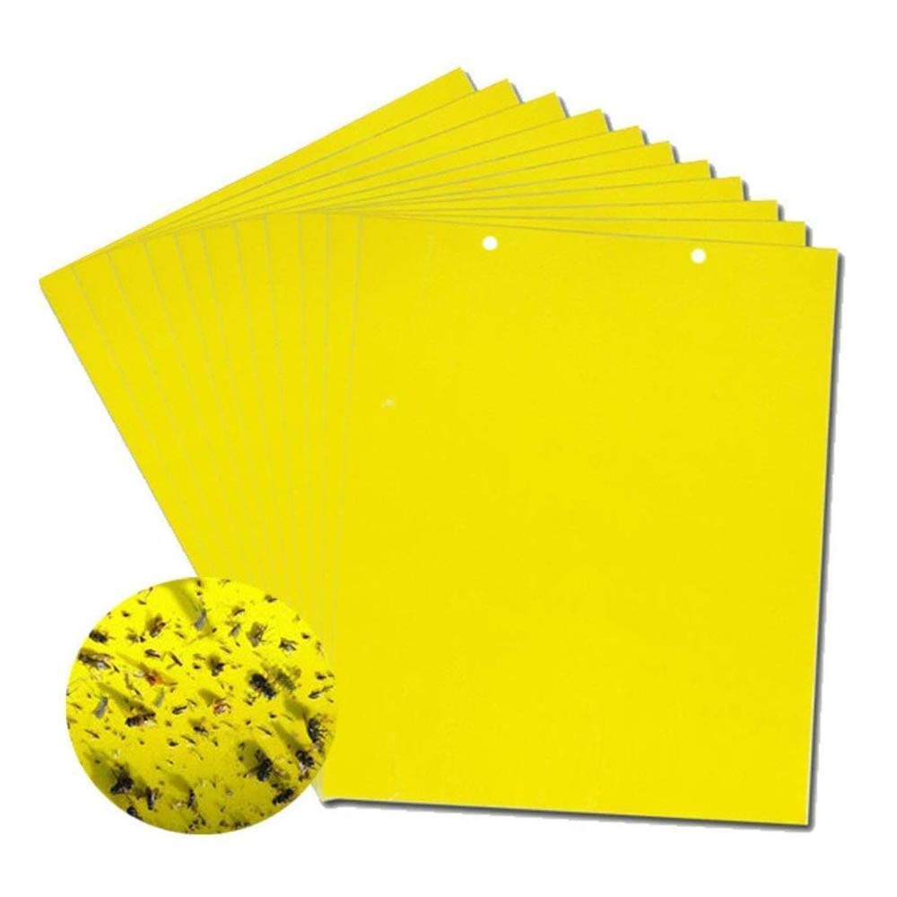 🐞【Paquete de 30 piezas 】Tablero adhesivo de insectos de doble cara amarillo✅️Pago contra entrega