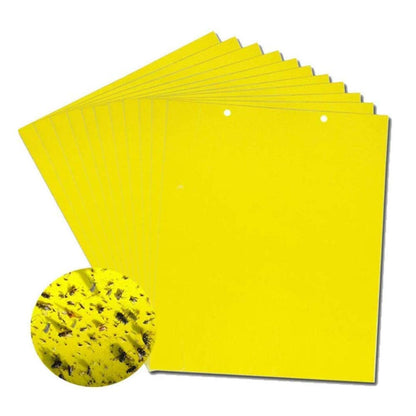 🐞【Paquete de 30 piezas 】Tablero adhesivo de insectos de doble cara amarillo✅️Pago contra entrega