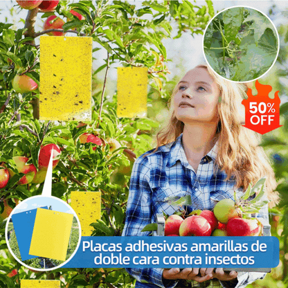 🐞【Paquete de 30 piezas 】Tablero adhesivo de insectos de doble cara amarillo✅️Pago contra entrega