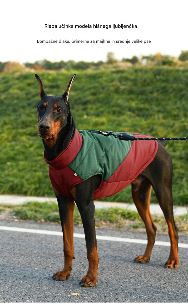 🔥🔥【Kupite enega, dobite enega gratis】【S-5XL】【1,5-30 kg】Nova jesensko/zimska topla bombažna pasja oblačila, idealna za prosto pot