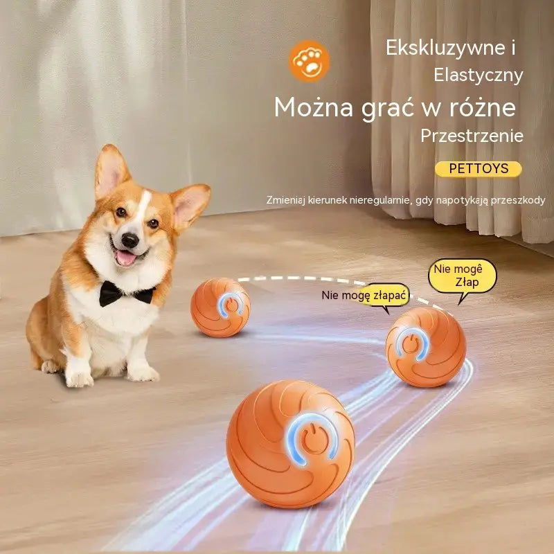 🐶【Kup jeden, a drugi dostaniesz gratis】Inteligentna, interaktywna, odbijająca się piłka dla zwierząt