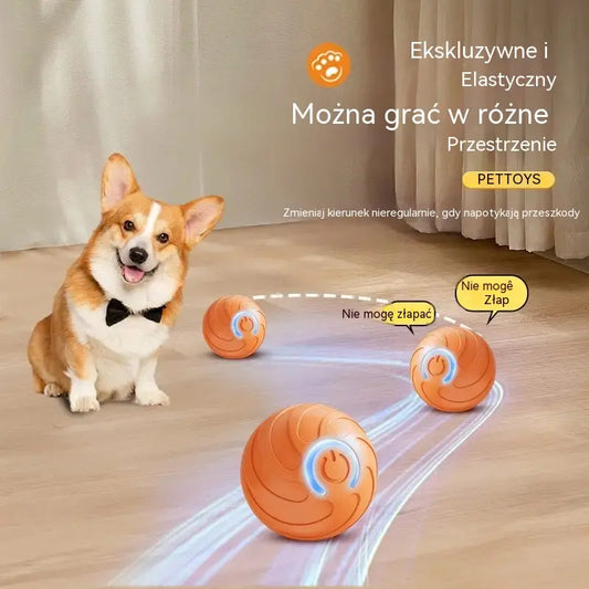 🐶【Kup jeden, a drugi dostaniesz gratis】Inteligentna, interaktywna, odbijająca się piłka dla zwierząt