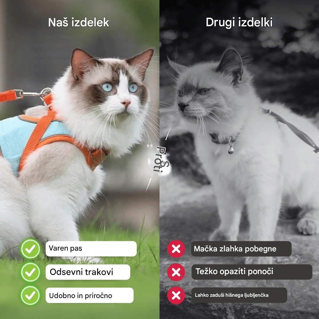 😺🐶【Kúpte 1, získajte 1 zadarmo】Povodec za pse, komplet za sprehajanje psov, plišasti oprsnik za hišne ljubljenčke, mačji oprsnik s povodcem, ki se sveti v temi🐾